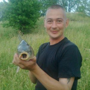 Парни в Нововоронеже: Санёк, 46 - ищет девушку из Нововоронежа