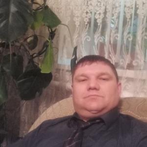Владимир, 41 год, Липецк