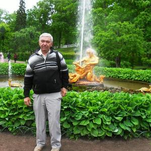 Виктор, 69 лет, Саратов