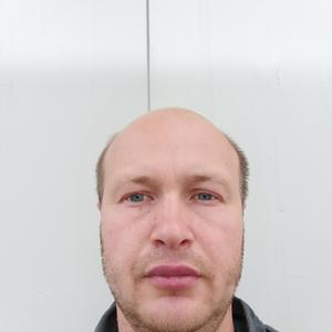 Дмитрий, 44 года, Иваново