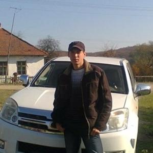 Паша, 43 года, Курск