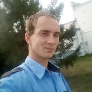 Анатолий, 31 год, Волоконовка