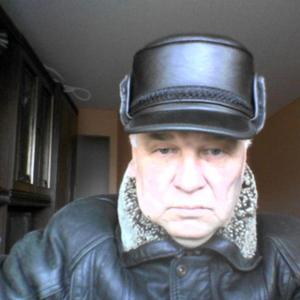 Вячеслав Березкин, 63 года, Магнитогорск