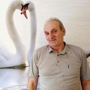 Владимир, 60 лет, Таганрог