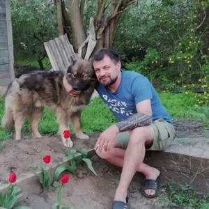 Парни в Шахты: Владимир, 39 - ищет девушку из Шахты