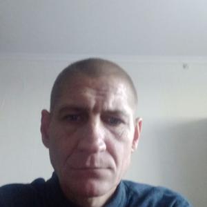 Алексей, 44 года, Могилев