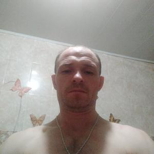 Серж, 41 год, Иваново