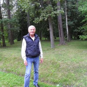 Парни в Сестрорецке: Николай Громенко, 66 - ищет девушку из Сестрорецка