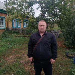 Алекс, 44 года, Барнаул