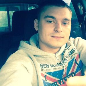 Дмитрий, 34 года, Гатчина
