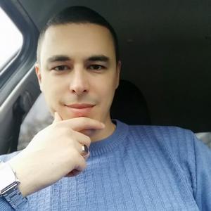 Николай, 36 лет, Димитровград