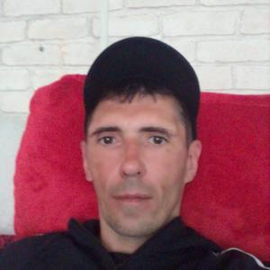 Василий, 41 год, Краснодар
