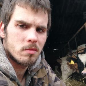 Николай, 29 лет, Волгоград