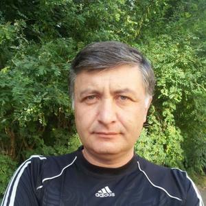 Petr, 49 лет, Ярославль