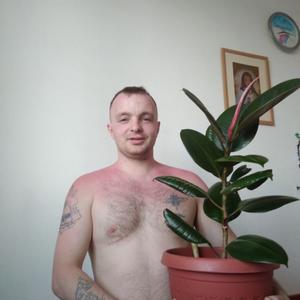 Дмитрий, 34 года, Зеленогорск