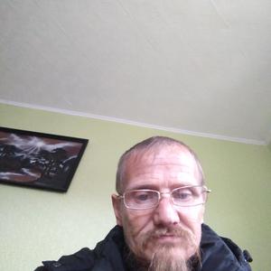 Николай, 49 лет, Псков