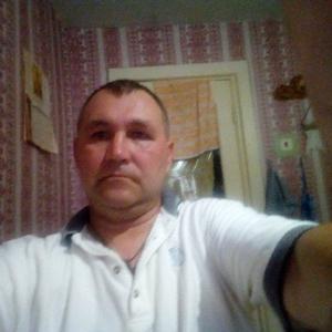Василий Казанин, 49 лет, Березник
