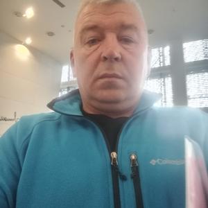Игорь, 53 года, Арамиль