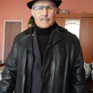 Иван Анатольевич, 79 лет, Краснодар