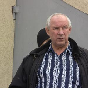 Владимир, 72 года, Калининград
