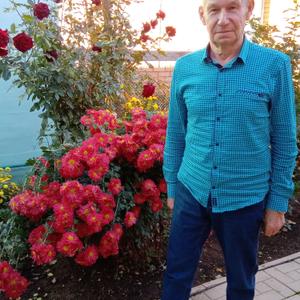 Алексей, 69 лет, Краснодар