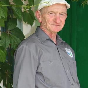 Владимир Шерстяных, 69 лет, Грачевка