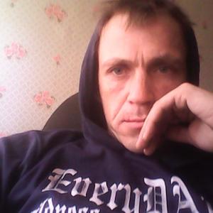 Алекс Сафронов, 43 года, Рамешки