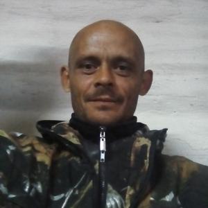 Алексей, 43 года, Упорово