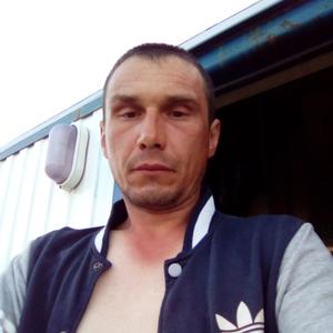 Петр, 44 года, Серов