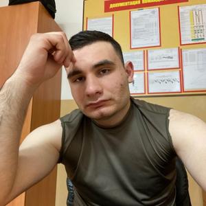 Alex, 26 лет, Ставрополь