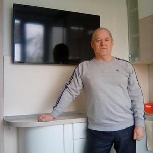 Анатолий, 65 лет, Балахна