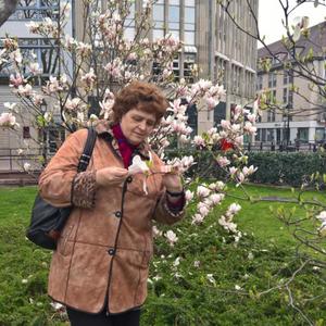 Таня, 63 года, Иркутск