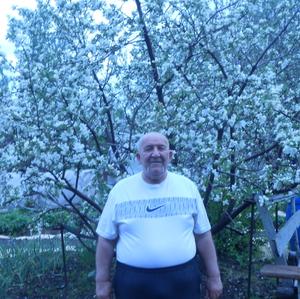 Анатолий, 73 года, Нижний Тагил