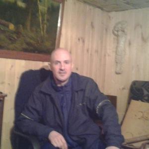 Андрей Курбатовский, 43 года, Бор