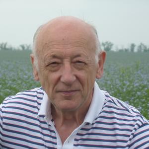 Сергей, 67 лет, Воскресенск