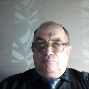 Владимир Поляков, 67 лет, Мичуринск