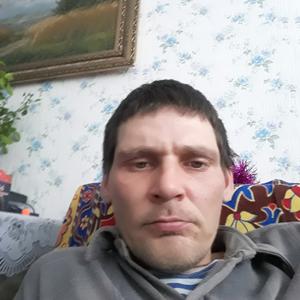 Артём, 38 лет, Александровск