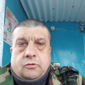 Николай, 44 года, Дмитровск