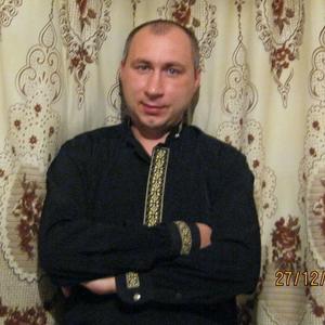 Сергей Свистунов, 47 лет, Ишим