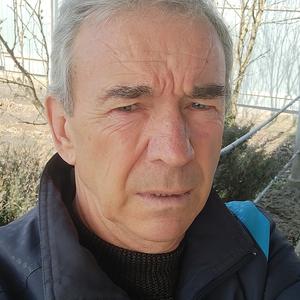 Николай, 65 лет, Краснодар