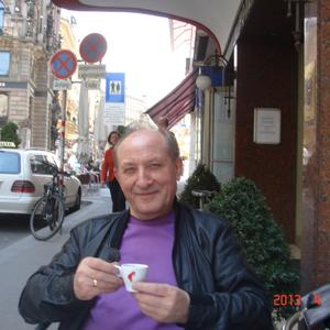 Евгений, 71 год, Лобня