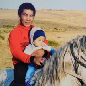 Дарын, 33 года, Астана