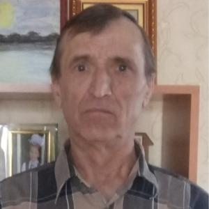 Николай, 72 года, Омск