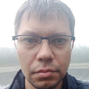 Дмитрий Петров, 35 лет, Чебоксары