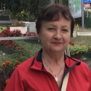 Валентина, 70 лет, Белгород