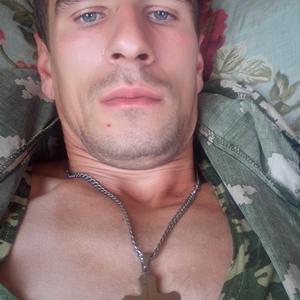 Максим Алексеевич Игнатьев, 35 лет, Кромы