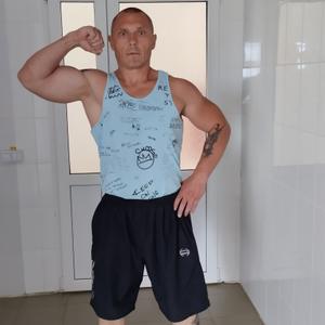 Алексей, 43 года, Санкт-Петербург