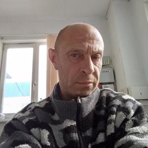 Михаил, 53 года, Серпухов