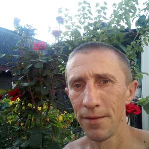 Дима, 44 года, Воронеж