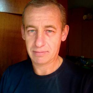 Алексей, 47 лет, Зеленогорск